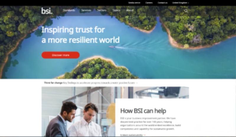 UK BSI Group Homepage5.jpg