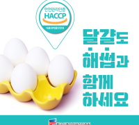 HACCP인증원, 한국계란유통협회 대상 특별교육 진행